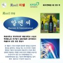 제4회 마루아라탁구대회(2인단체전,개인전)-장소:잠실운동장내 정현숙탁구교실 이미지