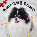 개스트룸 이미지