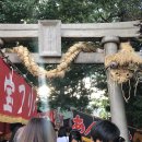 달로와요 이미지