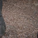 월문5리 이미지