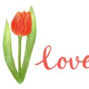 주안태화아파트 이미지