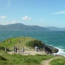 바람의 언덕 이미지