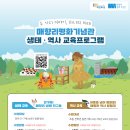 생태교육 | 체험수업후기 | 🌸생태 ・ 역사 교육프로그램🌸 - 매향리평화기념관