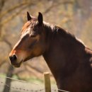 한국폴리텍V대학목포캠퍼스 이미지