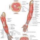 성진한의원 이미지