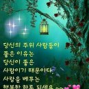 올가스킨케어 네이버블로그