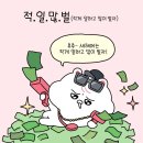 블랙헤어커커
