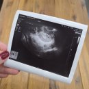 이지은산부인과의원 이미지