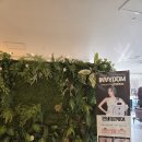 세종미용실 | [공지] ✂️ 세종미용실 캄뷰티가든 후기 | 어진동미용실, 나성동미용실 추천 – 레이어드c컬 변신 성공