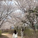 동곡11-22 농로 | 경북/청도 | 내돈내산 국내숙소추천 | 불멍, 바베큐, 갬성 없는게 없는 글램핑 추천 | 글램핑포엠(poem)