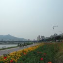 중랑천 산책로 이미지