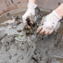 우포가시연꽃마을 이미지