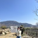 평사리의 그집 | 10만원대 촌캉스 에어비앤비 “평사리의 그집” 후기 (경남촌캉스 / 하동가볼만한곳)