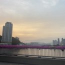 태창상회 이미지