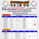 라인댄스 중급B 이미지