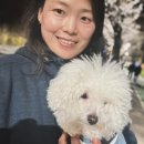 개발소 이미지