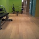 비바체(Vivace) 이미지