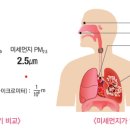 미세먼지 발생 시 행동요령 이미지