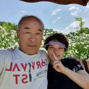 단호샌드파크 캠핑장 이미지