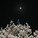 NR-3[경상대로]-하-408 | 잔고 438원