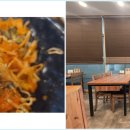 본가미역상남직영점