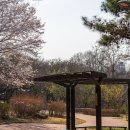 구릉산자락길 이미지