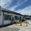 벌떼 | 강릉 주문진 | 도깨비 촬영지 근처 가성비 횟집 ‘벌떼횟집’ 내돈내산 방문 후기