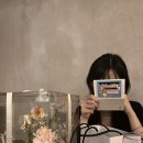 피크닉케이크 이미지