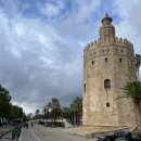 황금세탁소 이미지