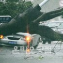 고향수퍼민박 이미지