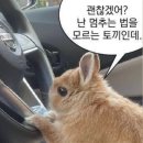 예빈헤어 시크릿점 이미지