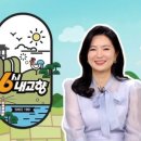 쌍둥이 수산 | 6시 내고향 황금 개체굴｜전남 고흥 ‘쌍둥이수산’ 주문 방법·가격·배송·후기 총정리
