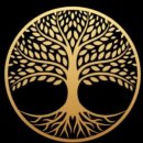 빛된 | 40일 넘게 글을 쓸 수 있게된 이유(빛소영 코치와의 1대1 코칭 후기)