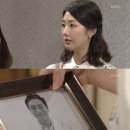 꽃비 이미지