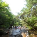 숲속작은민박 이미지