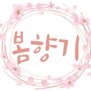 수학의봄입시학원 이미지