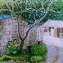 삼천포중학교 이미지