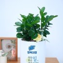 채움 여행사 이미지