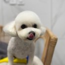 여수 죽림 동물병원 이미지