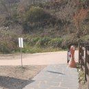 은대리 쉼나루 이미지