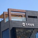 푸른드리 이미지