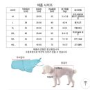 비오는 날도 산책 가능한 강아지 위드레오 판쵸형 우비 사용 후기