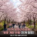 율봉근린공원(관리사무소) | 방화근린공원 실시간 벚꽃 개화 현황 주차부터 개화율까지 총정리(숨은 벚꽃 명소)