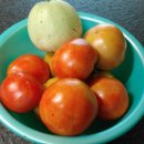 장수하늘소농장 이미지