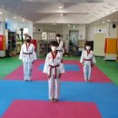 천마태권도 이미지