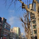 개나리아파트(15670) (옥외1) | 이마트 역삼점 걸어가 장보기 및 할인정보 3월4주차
