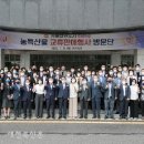 군산시청 이미지