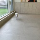 샤샤살롱 지제동삭점 | 평택 애견미용 지제 동삭 샤샤살롱 강아지미용 밀키의 이야기(4년째)