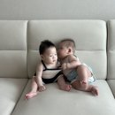 로라방앗간 이미지