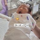 이모 | 경산 산후도우미업체 이레아이맘 경산영천지사 솔직후기(+노을순이모님)
